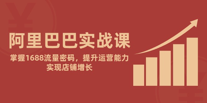 （14830期）阿里巴巴实战课：掌握1688流量密码，提升运营能力，实现店铺增长-大叔网创联盟