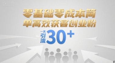 零基础零成本简单高效获客创业粉，一天引流30+-大叔网创联盟