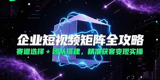 （15242期）企业短视频矩阵全攻略，赛道选择+团队搭建，精准获客变现实操-大叔网创联盟