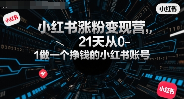 小红书涨粉变现营，21天从0-1做一个挣钱的小红书账号-大叔网创联盟