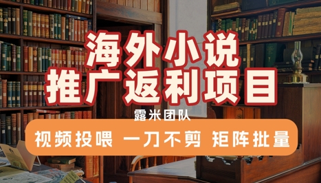 海外小说推广返利项目，视频投喂， 一刀不剪，矩阵批量-大叔网创联盟