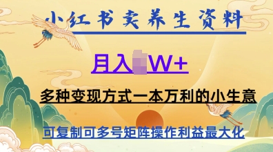 在小红书上卖养生资料，月入1w+，多种变现方式一本万利的小生意-大叔网创联盟