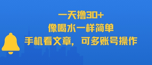 一天撸30+，像喝水一样简单，手机看文章，可多账号操作-大叔网创联盟