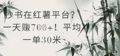 抄书在小红薯平台？平均一单30米，一天收益几张！-大叔网创联盟