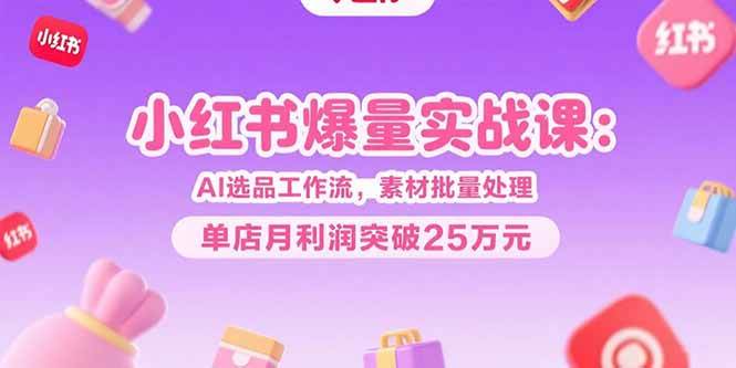 （15462期）小红书爆量实战课：AI选品工作流，素材批量处理，单店月利润突破25万元-大叔网创联盟