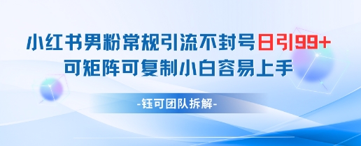 小红书男粉常规引流不封号日引99+变现简单 可矩阵可复制小白容易上手-大叔网创联盟