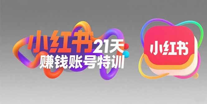 （15427期）小红书21天赚钱账号特训：黄金定位技巧，高转粉文案创作，科学引流策略-大叔网创联盟