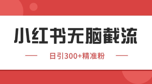 小红书截流同行客源，独家野路子获客玩法 日引200+暴力获客【揭秘】-大叔网创联盟