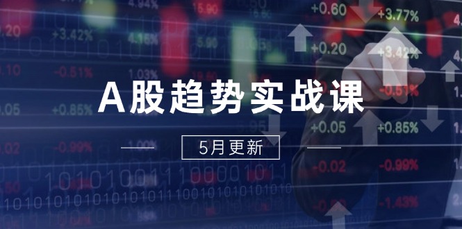 （14808期）A股趋势实战课：主力动向+政策红利，2025全年策略5月更新-大叔网创联盟