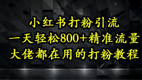 小红书打粉引流，一天轻松500+精准流量，大佬都在用的打粉教程-大叔网创联盟