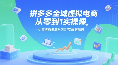 拼多多全域虚拟电商从零到1实操课，小白虚拟电商从0到1实操到精通-大叔网创联盟