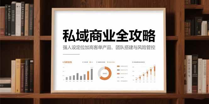 （15294期）私域商业全攻略，强人设定位加高客单产品，团队搭建与风险管控-大叔网创联盟