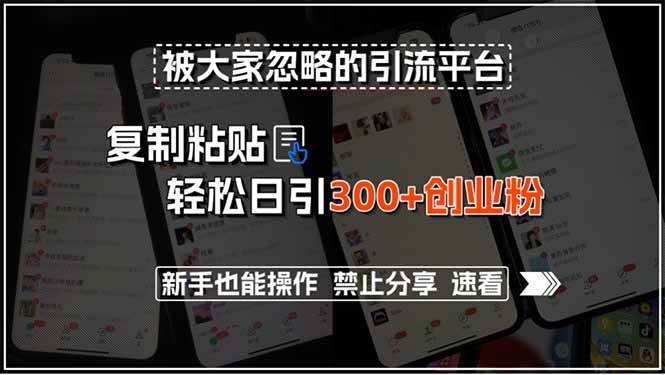 （15428期）被大家忽略的引流平台，复制粘贴轻松日引300+创业粉，新手也能操作，禁…-大叔网创联盟