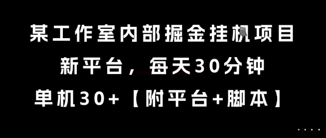 某工作室内部掘金挂G项目，新平台，每天30分钟，单机30+【揭秘】-大叔网创联盟