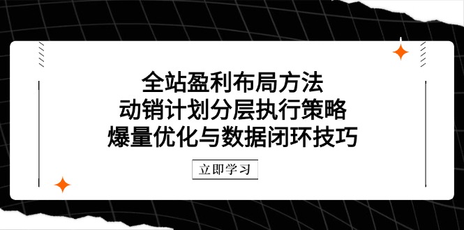 （14698期）全站盈利布局方法：动销计划分层执行策略，爆量优化与数据闭环技巧-大叔网创联盟
