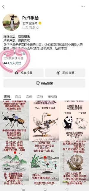 Puff手绘视频号分成项目，三天过分成计划，简单易上手，适合新手-大叔网创联盟