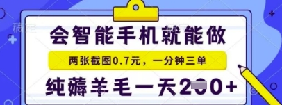 简单截图就能有收益，最适合小白做的副业，日入2张+轻轻松松-大叔网创联盟