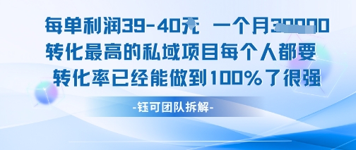 每单利润40一个月7k+转化最高的私域项目，每个人都要的产品转化率已经能做到100%-大叔网创联盟
