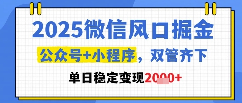 2025微信风口掘金，公众号+小程序双管齐下，单日稳定变现1k+【揭秘】-大叔网创联盟