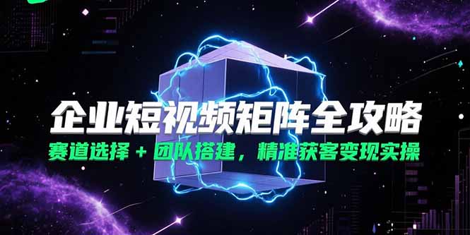 企业短视频矩阵全攻略，赛道选择+团队搭建，精准获客变现实操-大叔网创联盟