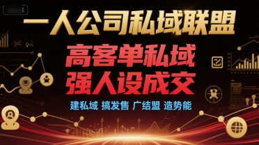 一人公司私域联盟，高客单私域，强人设成交，建私域 搞发售 广结盟 造势能-大叔网创联盟