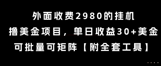 外面收费2980的挂G撸美金项目，单日收益30+美金，可批量可矩阵【揭秘】-大叔网创联盟