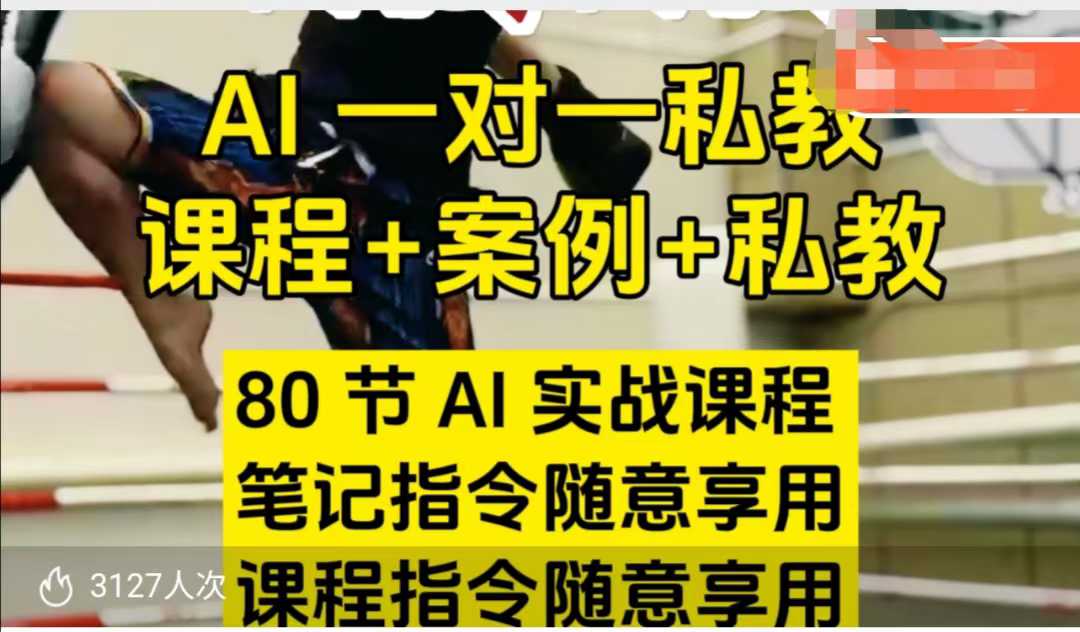 AI指令实战课，课程+案例，80节AI实战课程，笔记指令随意享用，课程指令随意享用（更新7月）-大叔网创联盟