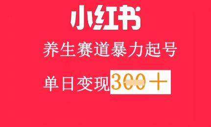 小红书养生赛道，暴力起号，轻松日入3张+-大叔网创联盟