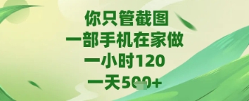 你只管截图，一部手机在家做，苹果安卓都可以，一天5张+【揭秘】-大叔网创联盟