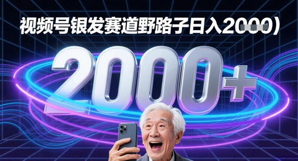 蝴蝶号银发赛道流量密码野路子日入多张-大叔网创联盟