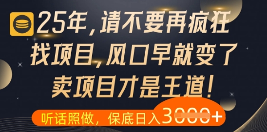 什么？25年你还在疯狂找项目做，醒醒吧，看完这些你全都懂了【揭秘】-大叔网创联盟
