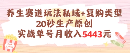 养生赛道玩法私域+复购类型，20秒生产原创实战单号月收入5k+-大叔网创联盟