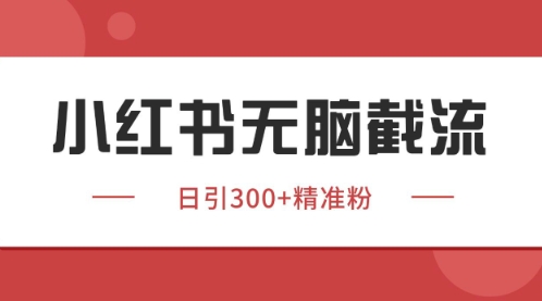 小红书只要你有同行就能获客，独家野路子获客玩法，暴力截流【揭秘】-大叔网创联盟