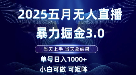 2025五月无人直播暴力掘金3.0，当天上手，当天拿结果，单号日入1k+小白可做可矩阵【揭秘】-大叔网创联盟