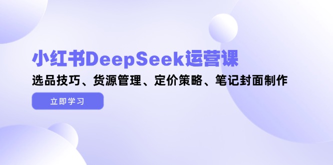 （14748期）小红书DeepSeek运营课，选品技巧、货源管理、定价策略、笔记封面制作-大叔网创联盟