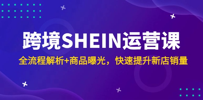 （14832期）跨境SHEIN运营课，全流程解析+商品曝光，快速提升新店销量-大叔网创联盟