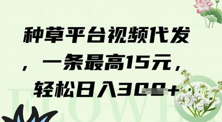 种草平台视频代发，一条最高15元，轻松日入3张-大叔网创联盟