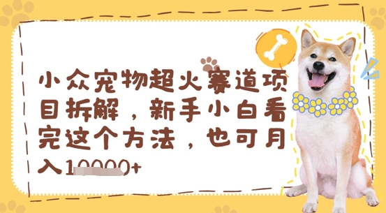 小众宠物超火赛道项目拆解，新手小白看完这个方法，也可月入过w-大叔网创联盟