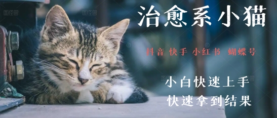 拆解，疯狂火爆！抖音，小红书，视频号小猫治愈的视频，轻松制作+快速拿到结果-大叔网创联盟