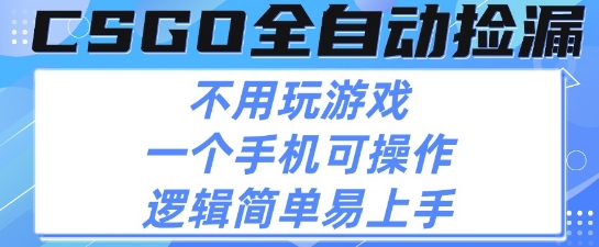 CSGO自动捡漏项目，最新独家玩法，不用挂G不用玩游戏，一个手机即可操作，新手小白轻松月入1W+【揭秘】-大叔网创联盟