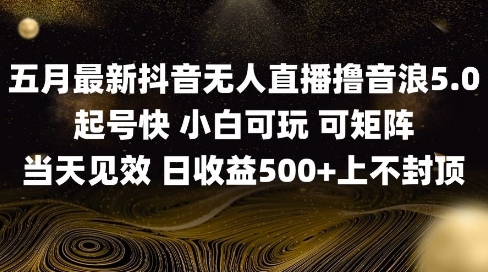 2025五月最新无人直播撸音浪单日产出5张+实操教程【揭秘】-大叔网创联盟