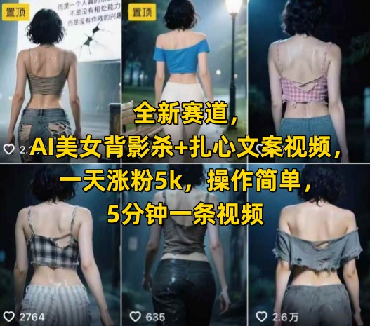 全新赛道，AI美女背影杀+扎心文案视频，一天涨粉5k，操作简单，5分钟一条视频-大叔网创联盟