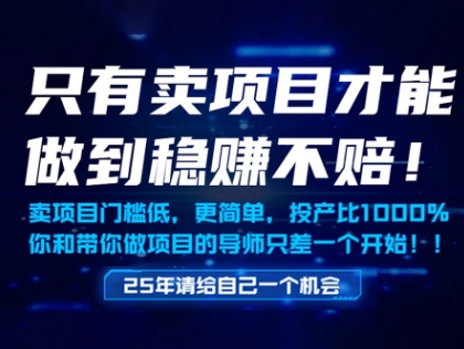 只有卖项目才能做到稳挣不赔，门槛低，更简单，你也可以年入百个W【揭秘】-大叔网创联盟