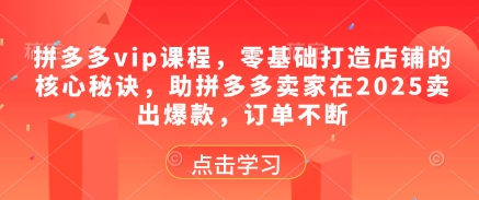 拼多多vip课程，零基础打造店铺的核心秘诀，助拼多多卖家在2025卖出爆款，订单不断-大叔网创联盟