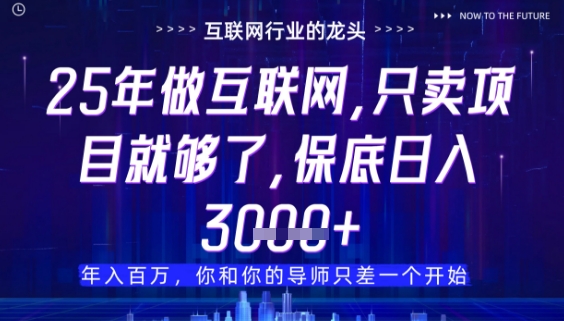 什么！25年你还在找项目做？风口早就变了，卖项目才是稳挣不赔【揭秘】-大叔网创联盟