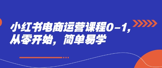 小红书电商运营课程0-1，从零开始，简单易学-大叔网创联盟