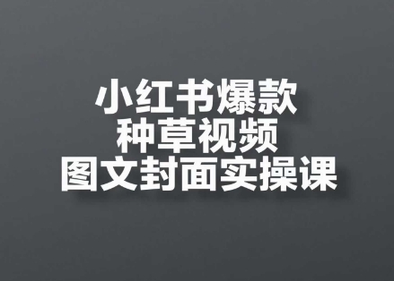 小红书爆款种草视频图文封面实操课，​开店、选品、引流、变现全流程-大叔网创联盟