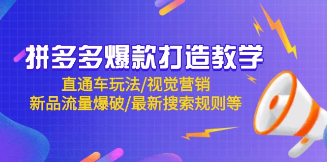 （14681期）拼多多爆款打造教学：直通车玩法/视觉营销/新品流量爆破/最新搜索规则等-大叔网创联盟