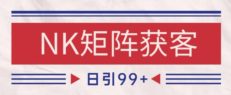 小红书某音NK赛道引流获客 自热矩阵日引200+【揭秘】-大叔网创联盟