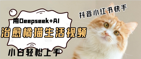 疯狂火爆，用Deepseek+AI做治愈橘猫系列视频，小白轻松制作+快速拿到结果-大叔网创联盟